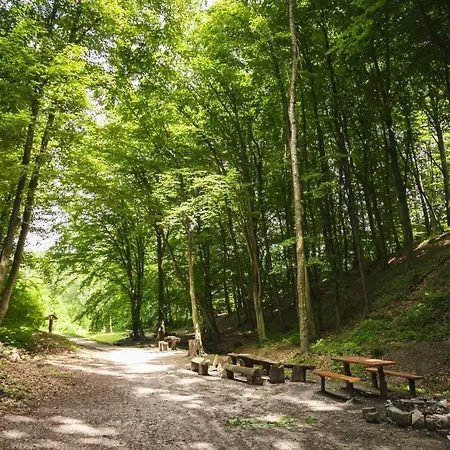 Jenny Vendeghaz בית נופש