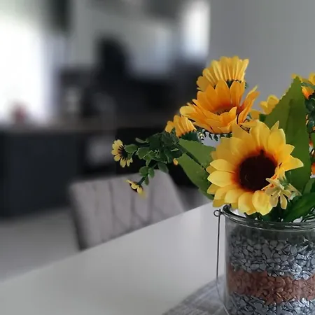 Feriehus Jenny Vendeghaz *