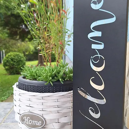 Jenny Vendeghaz * זלקרוס