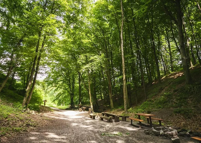 Jenny Vendeghaz Feriehus